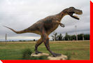 Albertosaurus - Patricia, Alberta