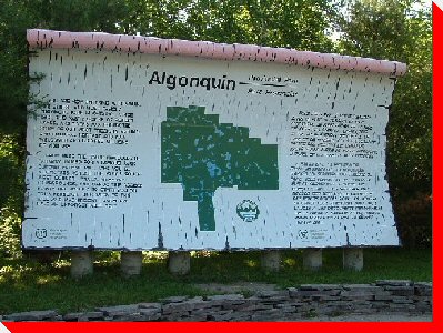 Birchbark Sign - Algonquin Park, Ontario