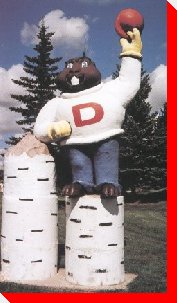 Amisk (Beaver) - Dauphin, Manitoba