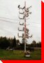 Giant Moose Antler Display - Upsala, Ontario