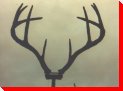 Antlers - Gorlitz, Saskatchewan