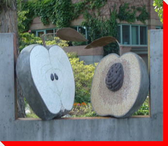 Apple and Peach Halves - Kelowna, British Columbia