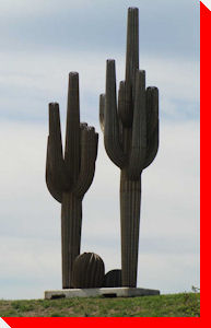 Cacti - Balzac, Alberta