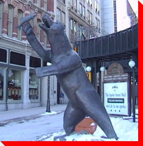 Fishing Bear - Ottawa, Ontario