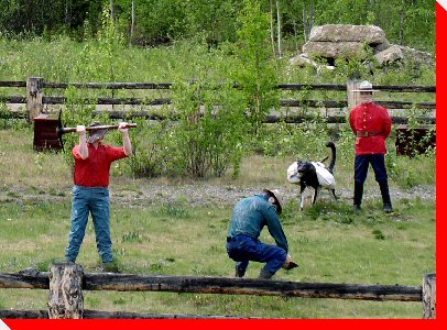 Mountie, Prospectors and Pack Dog - Beaver Creek, Yukon
