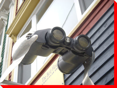 Binoculars - St. John's, Newfoundland and Labrador