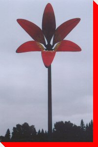 Lily - Balcarres, Saskatchewan