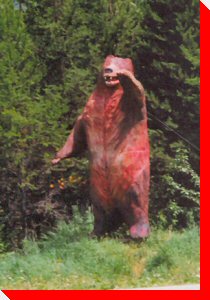 Grizzly Bear - Blue River, British Columbia