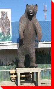 Bear - Boissevain, Manitoba