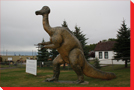 Helmet Lizard, Alberta