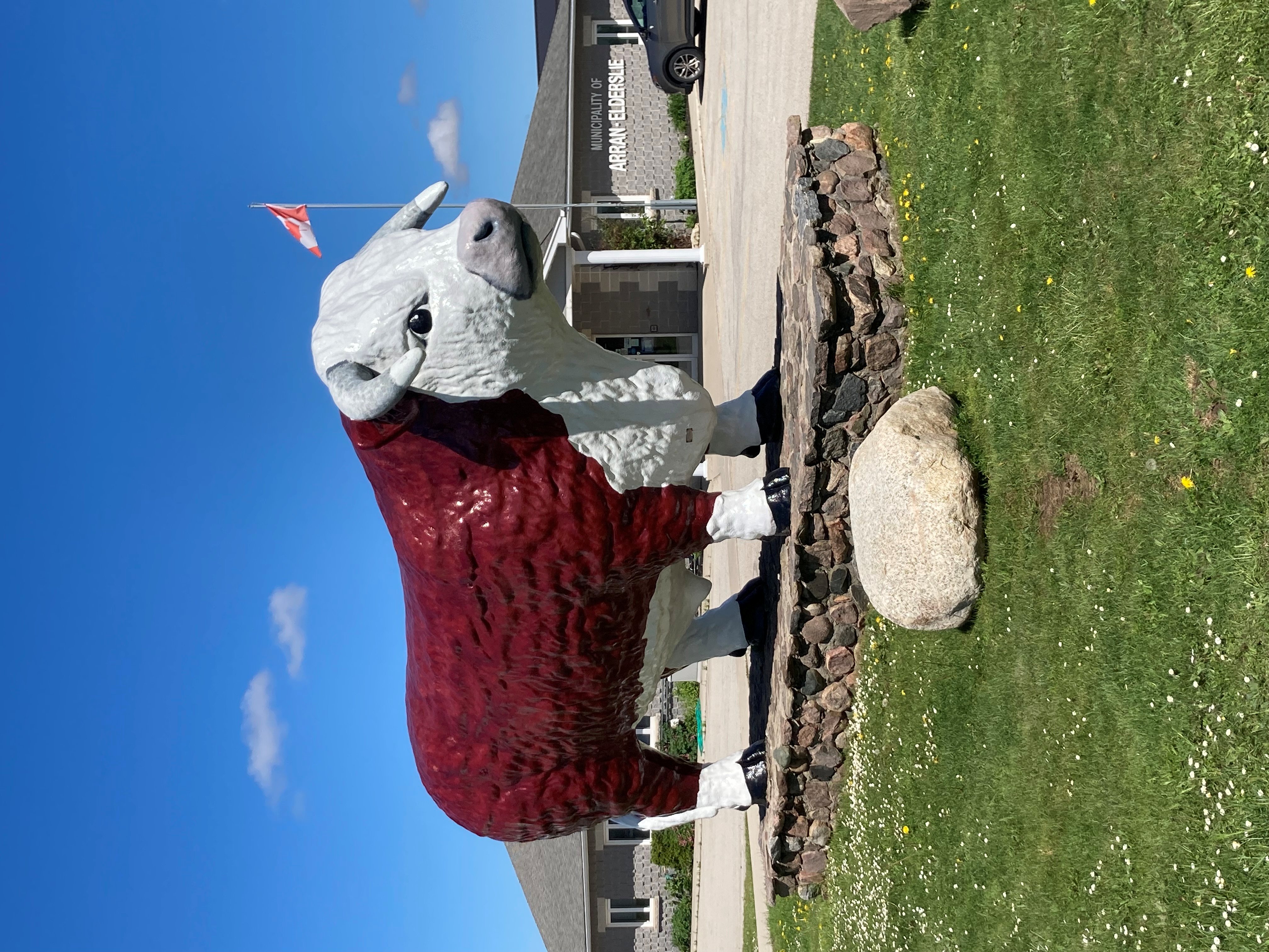 Big Bruce the Bull - Chesley, Ontario