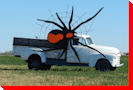 Large Spider - Biggar, Saskatchewan