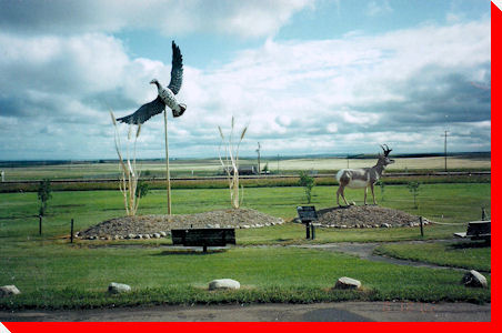 Pronghorn Antelope, Wheat Stalks and Goose - Cabri, Saskatchewan