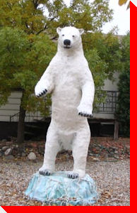 Polar Bear - Cabri, Saskatchewan