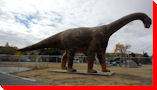 Camarasaurus - Drumheller, Alberta