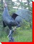 Rooster - Canmore, Alberta