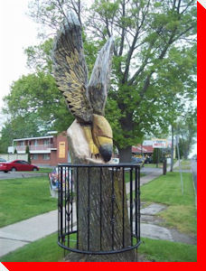 Strange Bird - Chippawa, Ontario