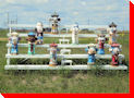 Fire Hydrant Spectators - Chauvin, Alberta