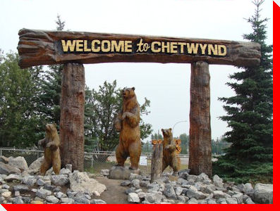 Bears - Chetwynd, British Columbia