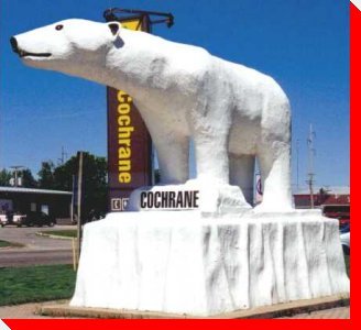 Chimo the Polar Bear - Cochrane, Ontario
