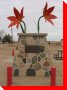 Lilies - Chamberlain, Saskatchewan