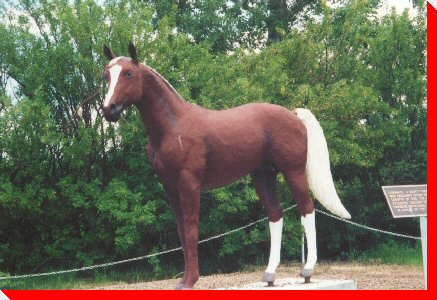 Racing Horse - Coronach, Saskatchewan