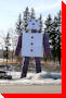 Tire Man - Daphne, Saskatchewan