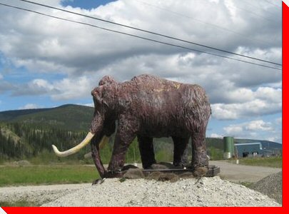 Mammoth - Dawson City, Yukon