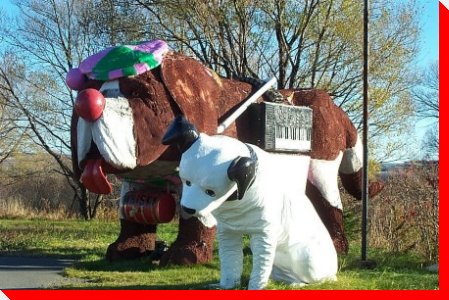 Dogs - Beaupre, Quebec