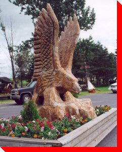 Eagle - Powassan, Ontario