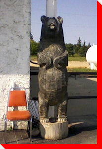 Bear - Fort Assiniboine, Alberta