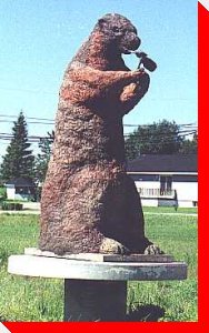 Groundhog - Fauquier, Ontario