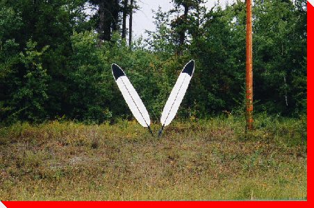 Feathers - Pierceland, Saskatchewan
