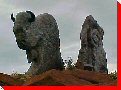 Buffalo - Fort McMurray, Alberta