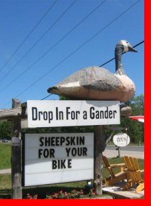 Gander - Peterborough, Ontario