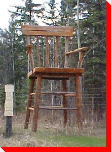 Large Chair - Ghost Lake, Alberta