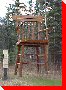 Large Chair - Ghost Lake, Alberta