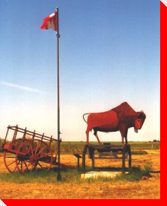 Buffalo and Cart - Girvin, Saskatchewan