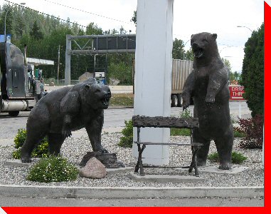 Grizzly Bears - Golden, British Columbia