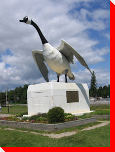 Canada Goose - Wawa, Ontario