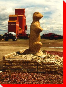 Gopher - Eston, Saskatchewan
