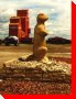 Gopher - Eston, Saskatchewan