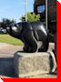 Sweet Grass Bear - Grande Prairie, Alberta