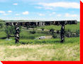 The Great Sand Hills Hanging Cowboy Boots - Sceptre, Saskatchewan