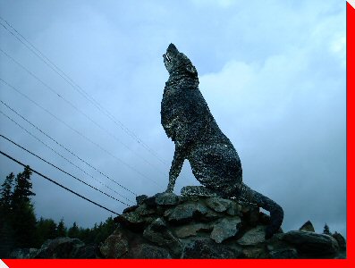 Wolf - Heyden, Ontario