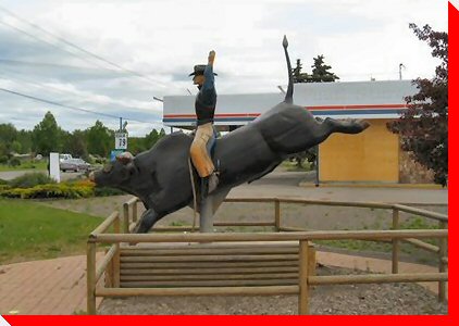 Bull Rider - Houston, British Columbia