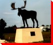 Millennium Moose - Hudson Bay, Saskatchewan