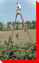 World's Tallest Tripod Orchard Ladder - Summerland, British Columbia