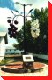 Chokecherry - Lancer, Saskatchewan
