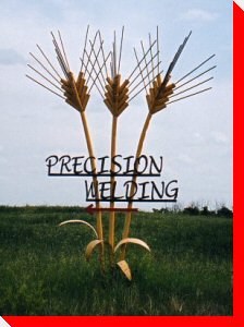 Wheat Stalks - Lundis, Saskatchewan